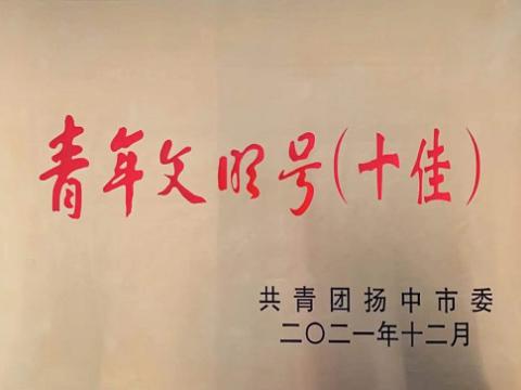 威騰電氣集團喜獲揚中市“十佳青年文明號”稱號