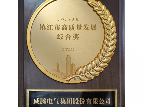 喜訊│威騰電氣集團股份有限公司榮獲2024年度鎮(zhèn)江市高質(zhì)量發(fā)展綜合獎