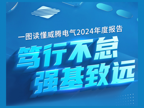 一圖讀懂威騰電氣2024年度報(bào)告