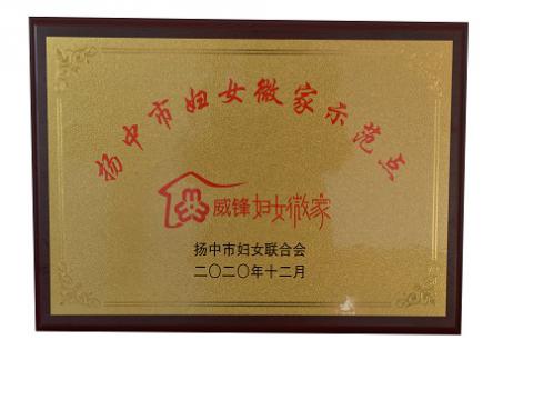 威騰電氣集團(tuán)喜獲揚中市級婦女微家示范點